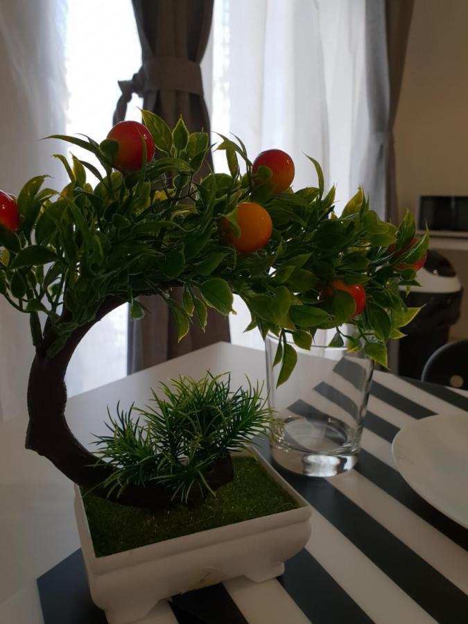 Perla Sicula Acomodação com café da manhã Catânia Exterior foto